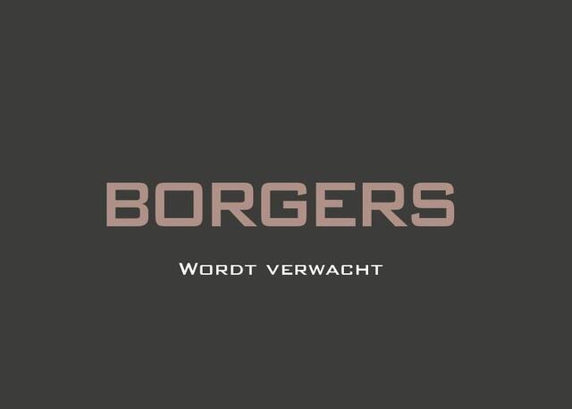 Audi Q8 60 TFSIe Goodwoodgreen l B&O l Volleder l Trekhaak