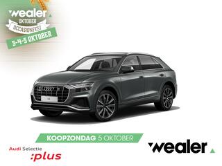 audi-q8-55-tfsi-quattro-pro-line-pl