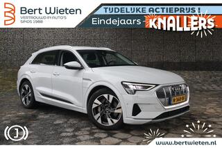 audi-e-tron-55-quattro--geen-impor