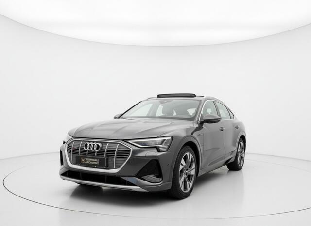 Audi e-tron 50 QUATTRO 71KWH. 360, PANO, TREKHAAK, S LINE, MEMORY