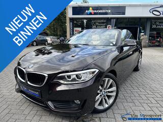 bmw-2-serie-cabrio-230i-automaat-25
