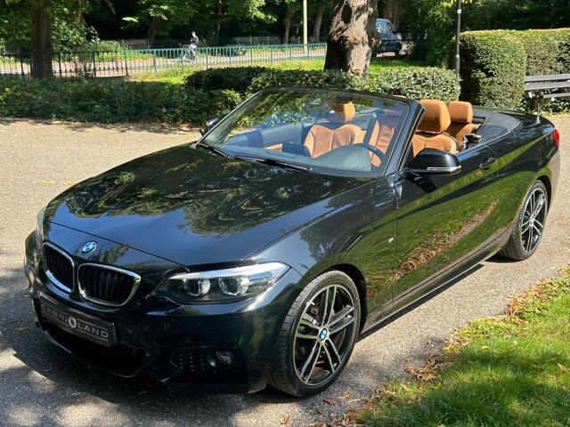 BMW 2-SERIE Cabrio 220i M-Sportpakket
