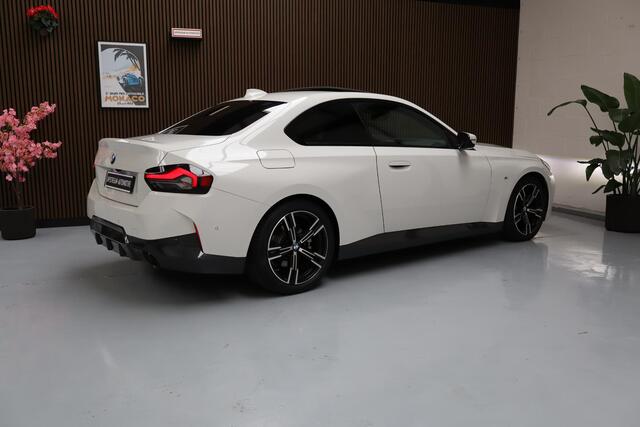 BMW 2-SERIE Coupé 220i Panoramadak | M-Sport | B.T.W. | HIFI