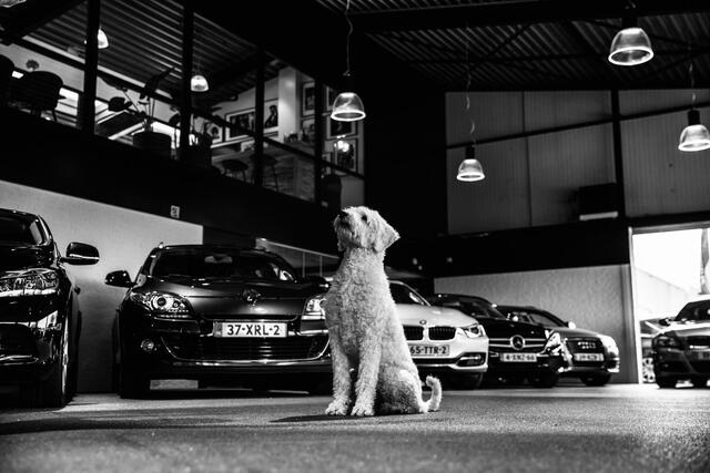BMW 3-SERIE 320i M Sport High Executive 184Pk Automaat (SCHUIFDAK, M PAKKET, GROOT NAVI, DEALER ONDERHOUDEN, HEAD-UP DISPLAY, LEDER, STOELVERWARMING, SPORT AUTOMAAT, GROOTLICHTASSISTENT, NIEUWSTAAT)
