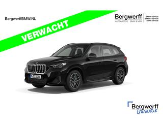 bmw-x1-xdrive25e-m-sport---pano---d