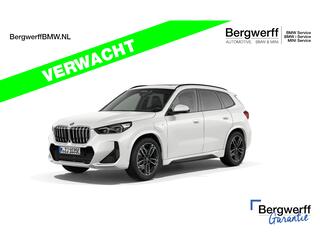 bmw-x1-xdrive25e-m-sport---pano---t