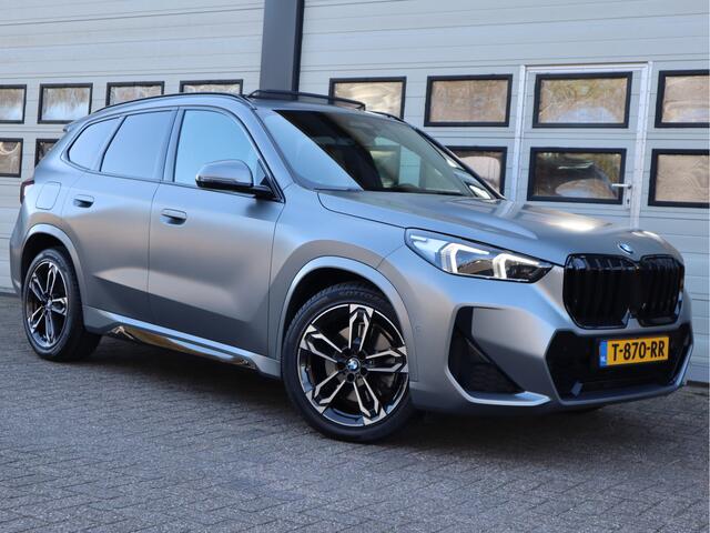 BMW X1 xDrive 23i 204pk 4Cilinder M-Sport - PANO - H&K - Memory - Dealer O.H. - Frozen Grey