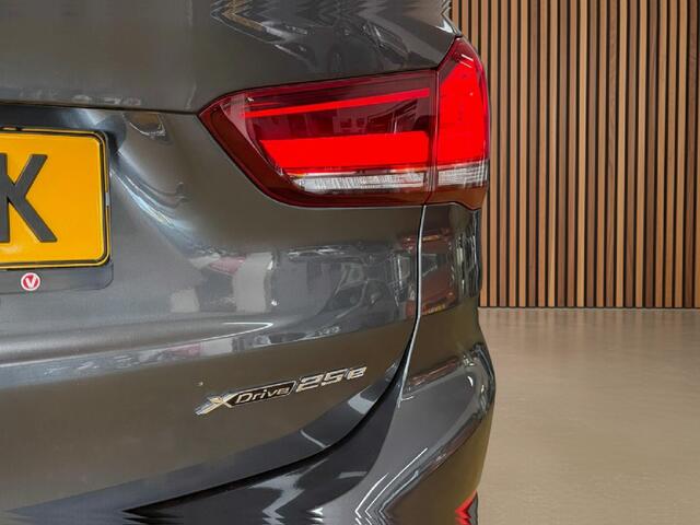 BMW X1 xDrive25e Executive | Camera | Sport | Navigatie.