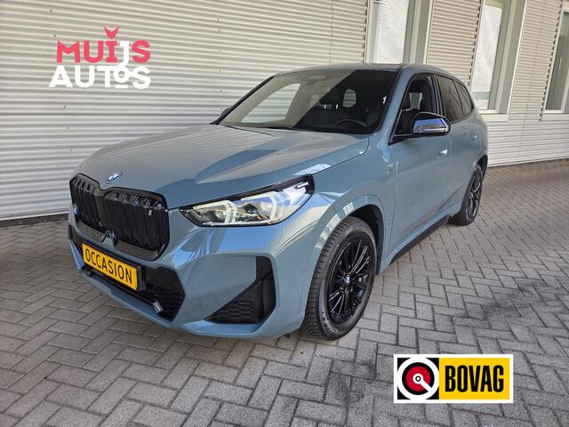 BMW iX1 xDrive30 Launch Edition 67 kWh