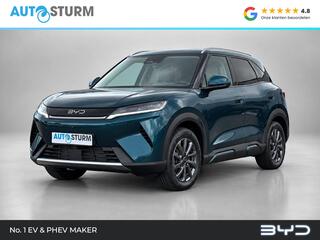 BYD ATTO 2