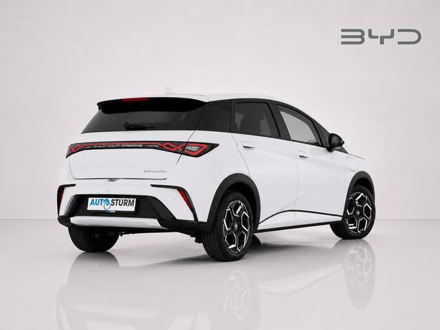 BYD Dolphin Design 60.4 kWh