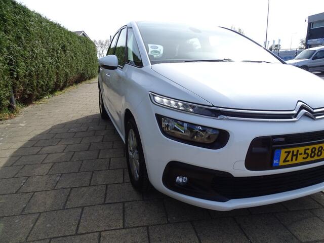 Citroen C4 1.2 P.TECH LIVE 131 Pk-Automaat-Media app-Blth-Cruise-Pdc