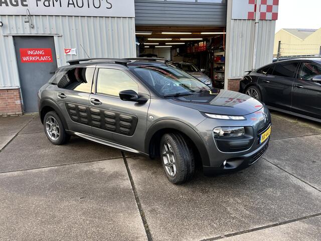 Citroen C4 CACTUS 1.2 PureTech Business Plus