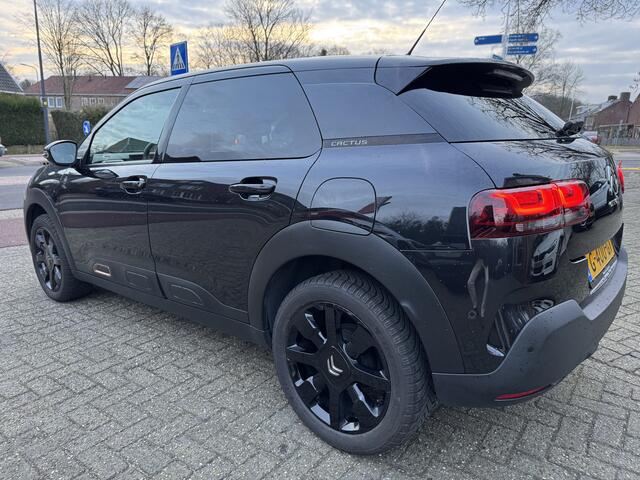 Citroen C4 CACTUS 1.2 110pk PT Origins, Navi & CarPlay | Trekhaak | Camera