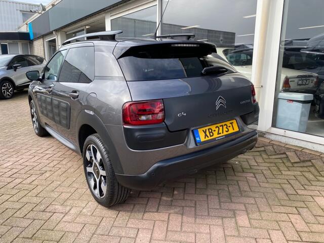 Citroen C4 CACTUS 1.2 One-Tone Clima Cruise PDC 94.391km