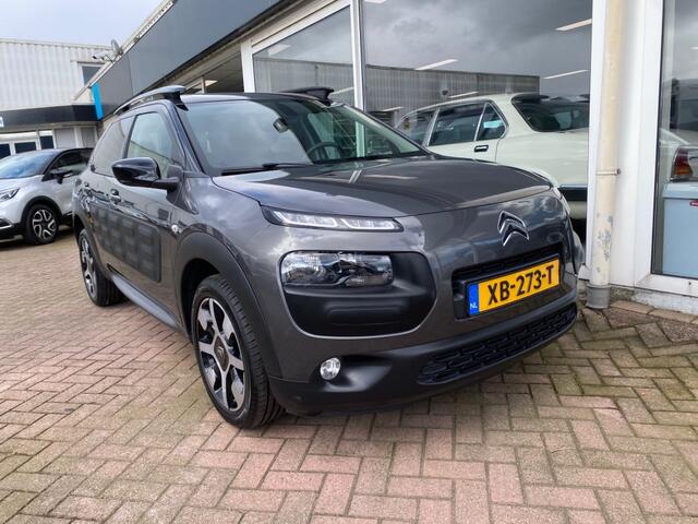 Citroen C4 CACTUS 1.2 One-Tone Clima Cruise PDC 94.391km