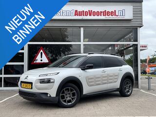 citroen-c4-cactus-1.2-puretech-shin