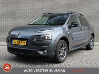 citroen-c4-cactus-1.2-puretech-shin
