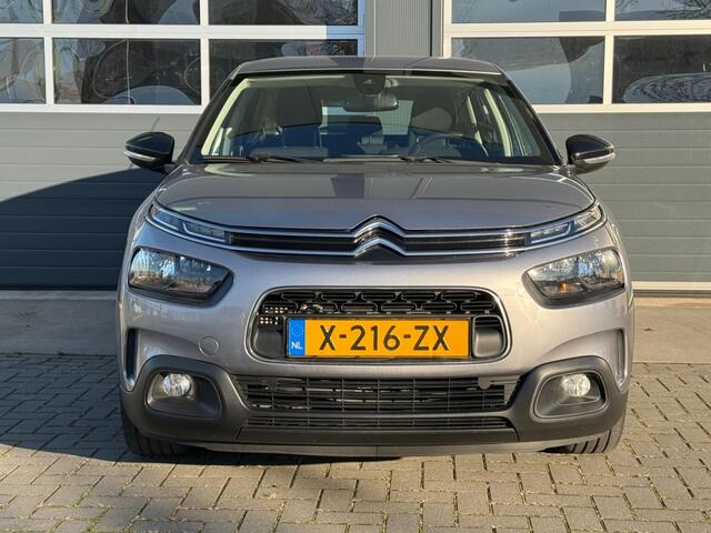 Citroen C4 CACTUS 1.2 PureTech Shine +