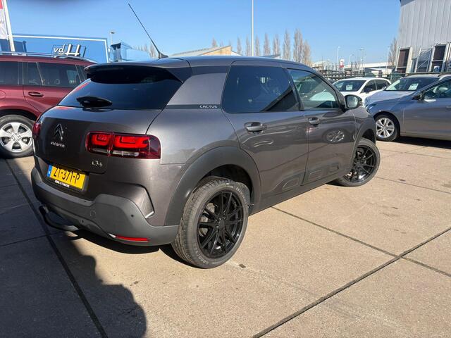 Citroen C4 CACTUS 1.2 PureTech Business Clima, camera, trekhaak