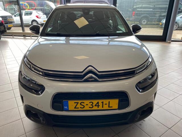 Citroen C4 CACTUS 1.2 PT Business NAVI BJ 2019 !!!