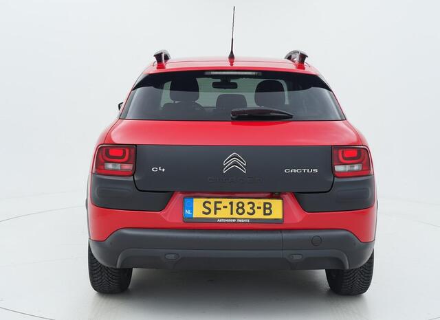Citroen C4 CACTUS 1.2 PureTech Business Plus PANO - RIEM VERVANGEN
