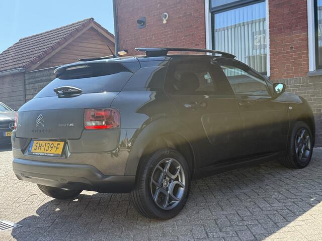 Citroen C4 CACTUS 1.2 PureTech Shine | NAVI | CRUISE | PDC | D-RIEM VV |