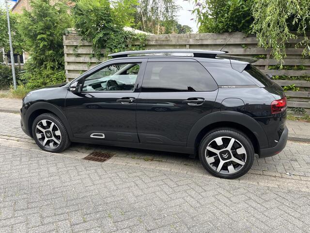 Citroen C4 CACTUS 1.2 PureTech Shine Plus Panoramadak