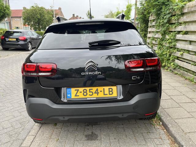 Citroen C4 CACTUS 1.2 PureTech Shine Plus Panoramadak