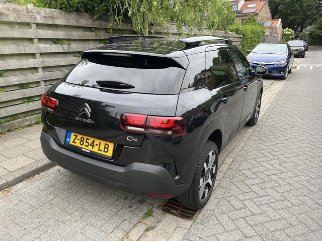 Citroen C4 CACTUS 1.2 PureTech Shine Plus Panoramadak