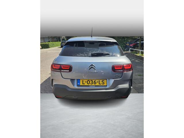 Citroen C4 CACTUS 1.2 PureTech Business Plus Achteruitrijcamera, In nette staat!