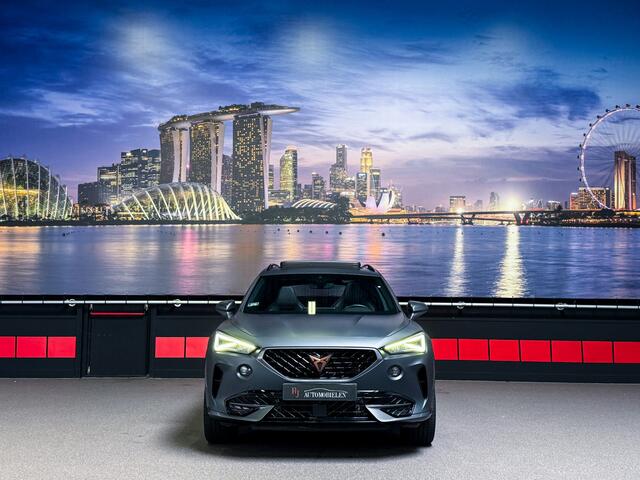 Cupra Formentor 1.5 TSI 12-2022|MatteGrijs|SportStoelen|Leder|Memory|Camera|