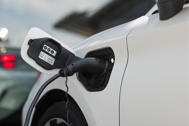 Cupra Leon 1.5 TSI e-Hybrid Business Achteruitrijcamera