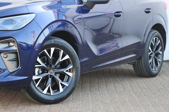 Cupra Terramar 1.5 TSI eTSI Business 150pk DSG7