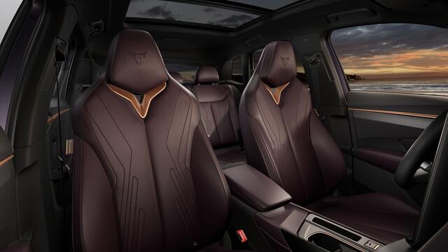 Cupra Terramar 1.5 TSI e-Hybrid 272 6DSG VZ Performance | 360 graden camera | Achteruitrijcamera | Draadloze Apple CarPlay(TM), Android Auto(TM)