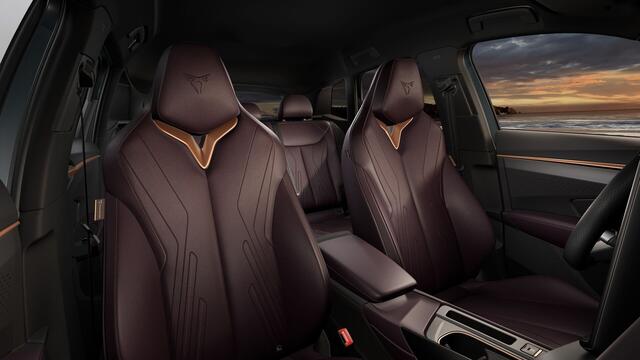 Cupra Terramar 1.5 TSI e-Hybrid 204 6DSG Business | 360 graden camera | Achteruitrijcamera | Draadloze Apple CarPlay(TM), Android Auto(TM)