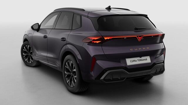Cupra Terramar 1.5 TSI e-Hybrid 204 6DSG Business | 360 graden camera | Achteruitrijcamera | Draadloze Apple CarPlay(TM), Android Auto(TM)