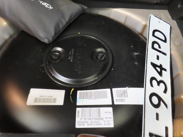 Dacia SANDERO Stepway 1.0 TCe 100 Bi-Fuel Comfort Trekhaak | Camera