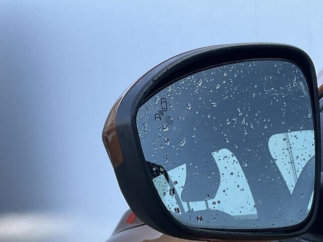 Dacia SANDERO Stepway 1.0 TCe 100 Bi-Fuel 1Eig Carplay DAB Camera Trekhaak Comfort LPG