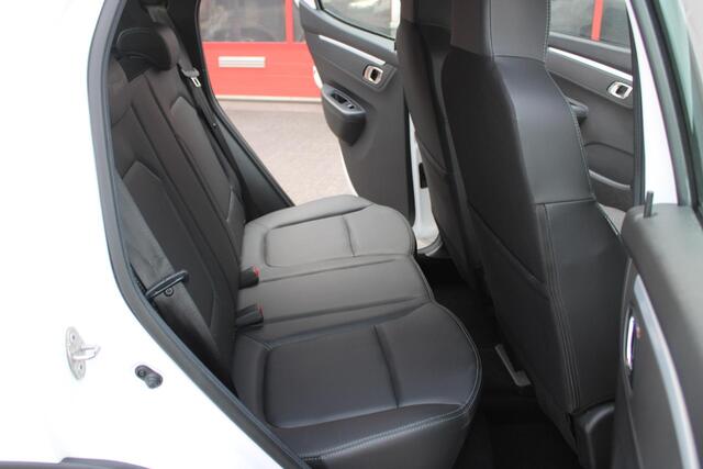 Dacia Spring Expression 27 kWh Navi/Camera/Leder