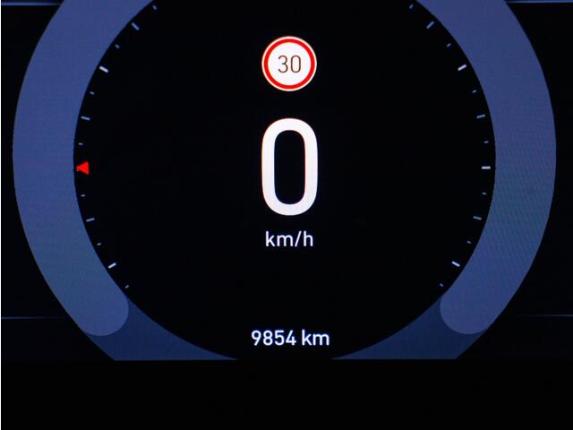 Fiat 500 Icon 42 kWh | Panoramadak | Navigatie