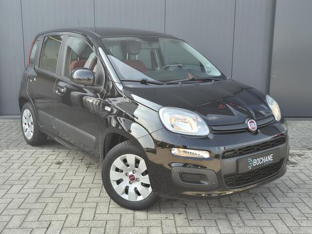 Fiat PANDA 1.2 Edizione Cool