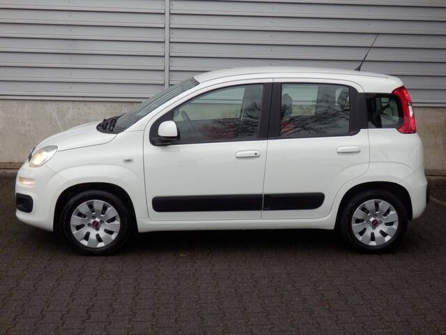 Fiat PANDA 1.2 4 cil. Edizione Cool I Airco I