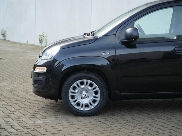 Fiat PANDA 1.0 Hybrid 70 PK City | Airco | Cruise | Direct Leverbaar!