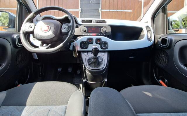 Fiat PANDA 1.0 Hybr. Launch Ed. | Keurige auto | DAB | NAP | Onderhoudshistorie |