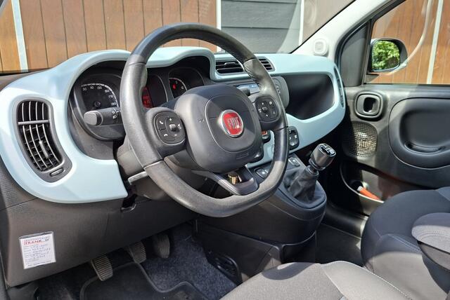 Fiat PANDA 1.0 Hybr. Launch Ed. | Keurige auto | DAB | NAP | Onderhoudshistorie |