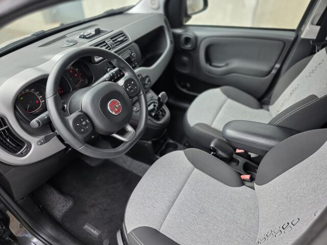 Fiat PANDA Automaat | Cruise ctrl | Trekhaak | Parkeersensoren |