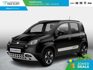 Fiat Pandina