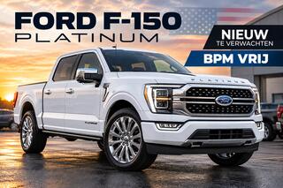 Ford (usa) F-150