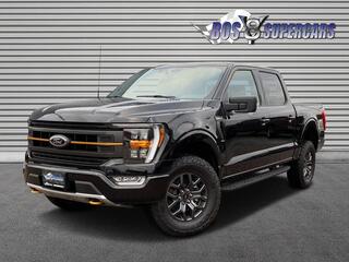 Ford (usa) F-150